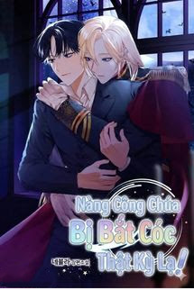 Nàng Công Chúa Bị Bắt Cóc Thật Kỳ Lạ!