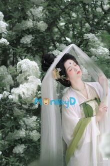 Ngạn Chỉ Đình Lan